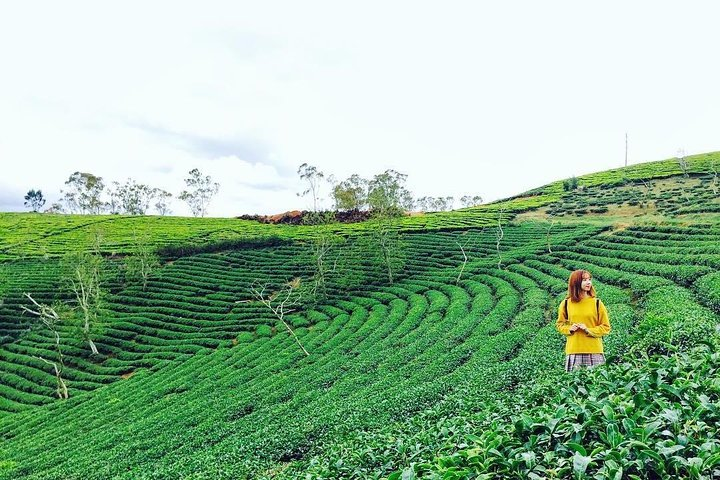 Private 3days 2 nights Da lat flower paradies from Saigon  - Photo 1 of 8