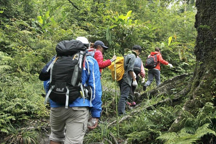 Trekking on Fansipan mountain
