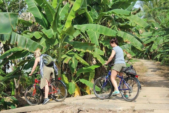 Private Mekong Delta & Bike Tour - Non-Touristy Escape - Photo 1 of 13