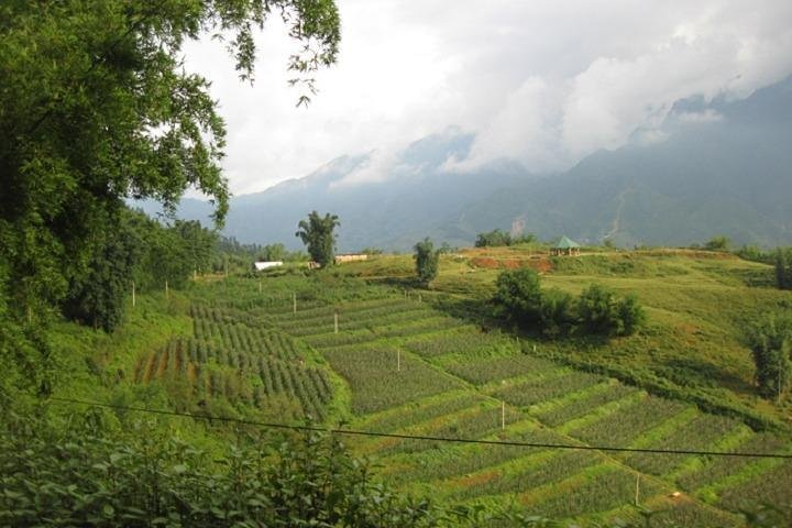 Private Sapa Off The Beaten Path trekking full day tour start from Sapa - Photo 1 of 14
