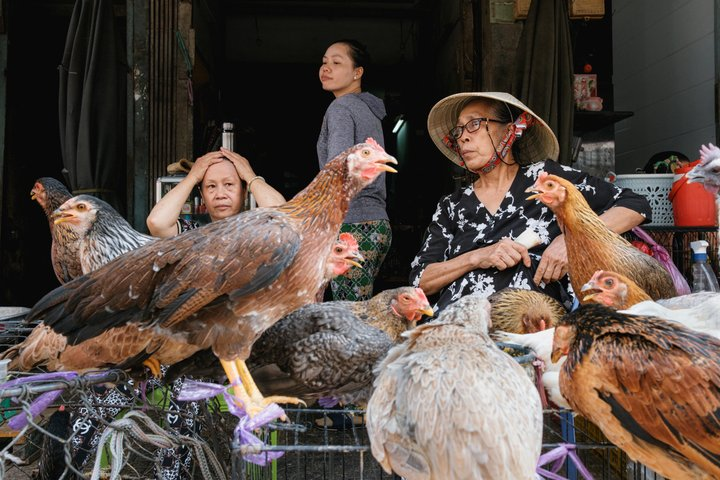 Private Sunrise Photography Tour - Down in Chinatown - Photo 1 of 25