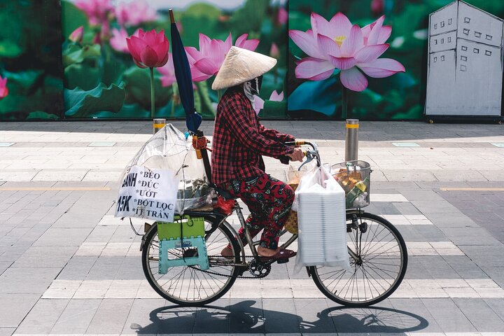 Crossing the lotus field