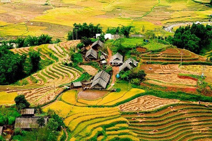 PRIVATE Trekking Sapa Tour 2 Days 1 Night ( Homestay Overnight)