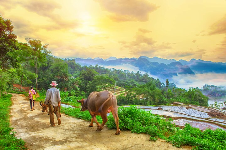 Pu Luong and Halong Bay Multi-Day Private Luxury Tour - Photo 1 of 7