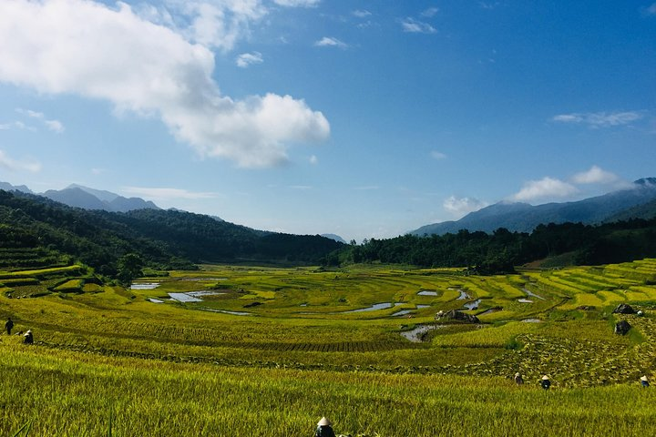 Pu Luong trekking view