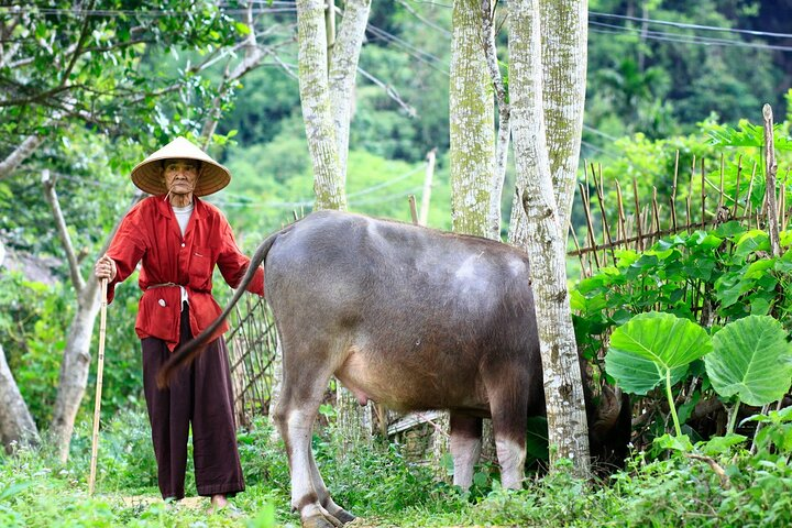 Pu Luong & Ninh Binh 3 Days Tour