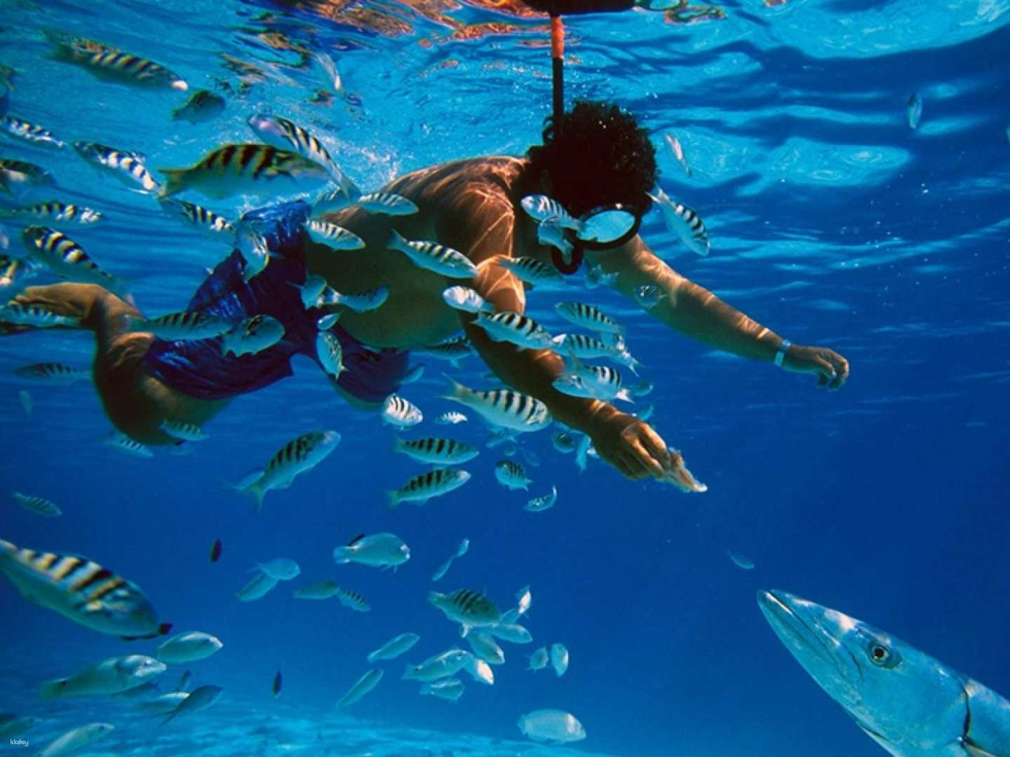 Phu Quoc Treasure Island Snorkeling Hopping Tour (Korean Guide) - Photo 1 of 6