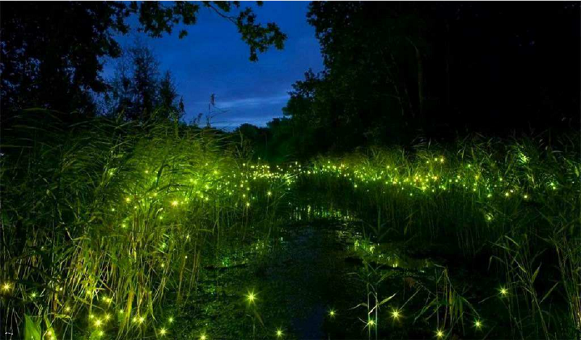 [Japanese guide] Enjoy two popular spots in one day: Cu Chi Tunnels and Mekong River Night Cruise by TNK Travel JAPAN (lunch and dinner included) - Photo 1 of 10