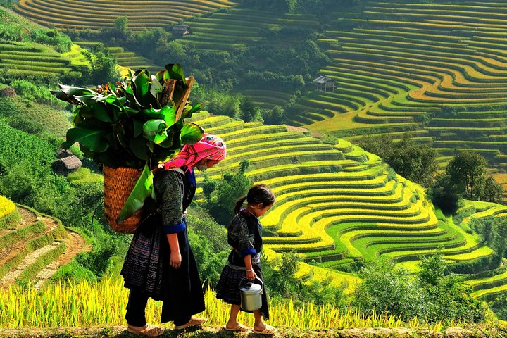 Sapa experiences 