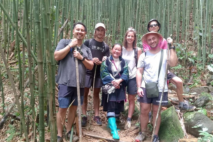 Experience the serenity of bamboo forests while trekking to Tả van village guided by a knowledgeable local. Enjoy scenic views and connect with nature on this memorable journey.