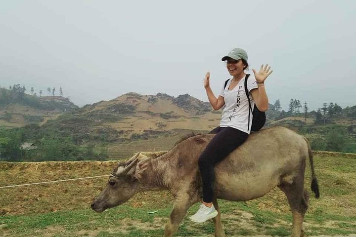 Experience the unique joy of riding a water buffalo while trekking through stunning terraced fields soaking in the fresh air and local culture of Sapa.