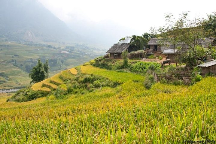 Sapa Trek Experience 2 Days at Homestay - Photo 1 of 9
