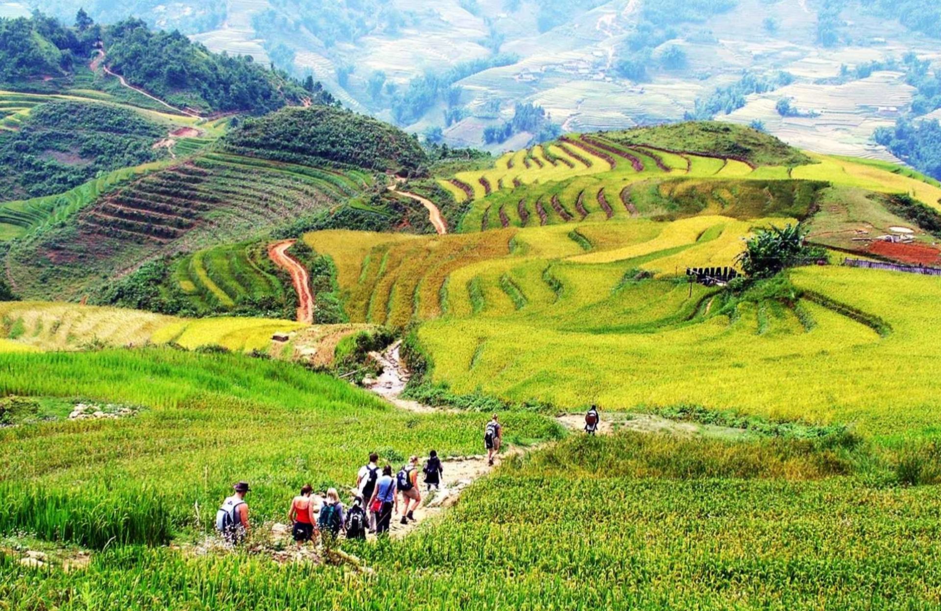 Immerse yourself in the stunning beauty of Sa Pa's terraced rice fields while trekking through local villages. Experience cultural richness and breathtaking landscapes on this unforgettable journey.