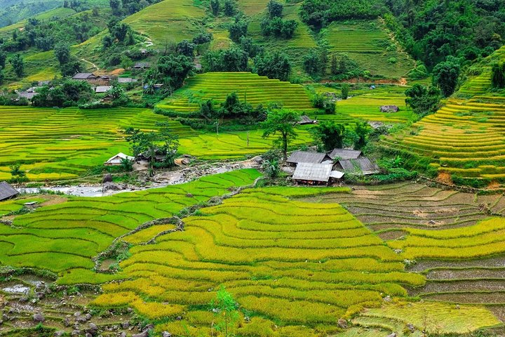 Sapa Trekking Tours -overnight At 4* Luxury Hotel With Swimming Pool - Photo 1 of 25