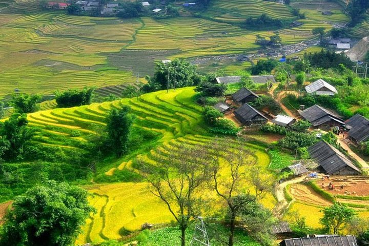Experience the serene beauty of rice terraces and traditional homes while trekking from Sapa to Lao Chai and Ta Van Village creating unforgettable memories among lush landscapes.