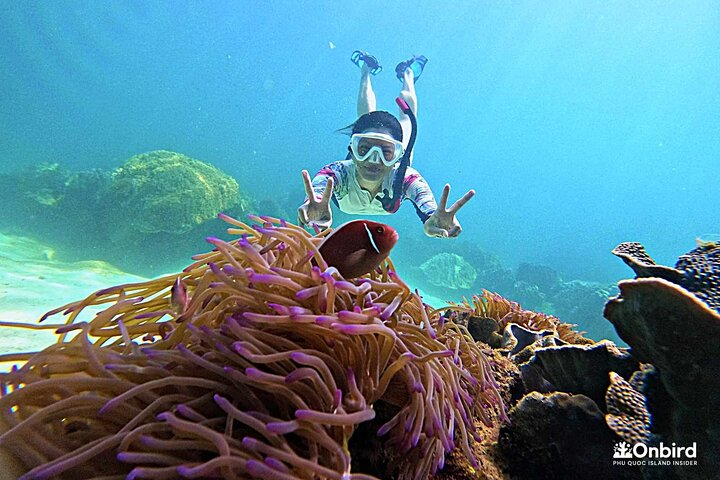Phu Quoc: Discovery Snorkeling Tour with Island BBQ (Max 12 pax) - Photo 1 of 16