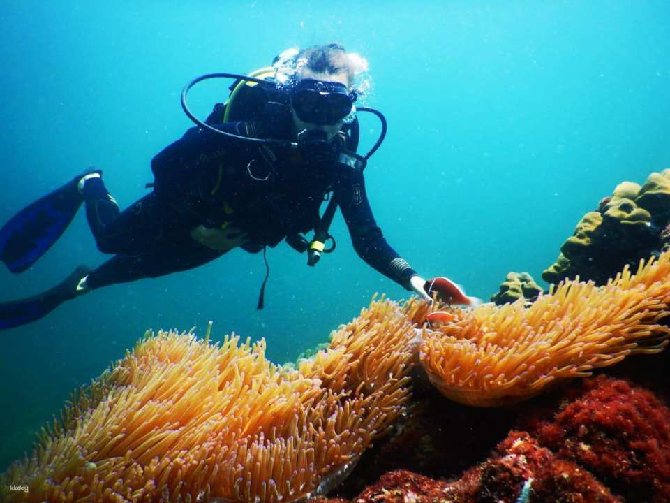 Southern Phu Quoc Scuba Diving Experience| Phu Quoc, VietNam - Photo 1 of 8