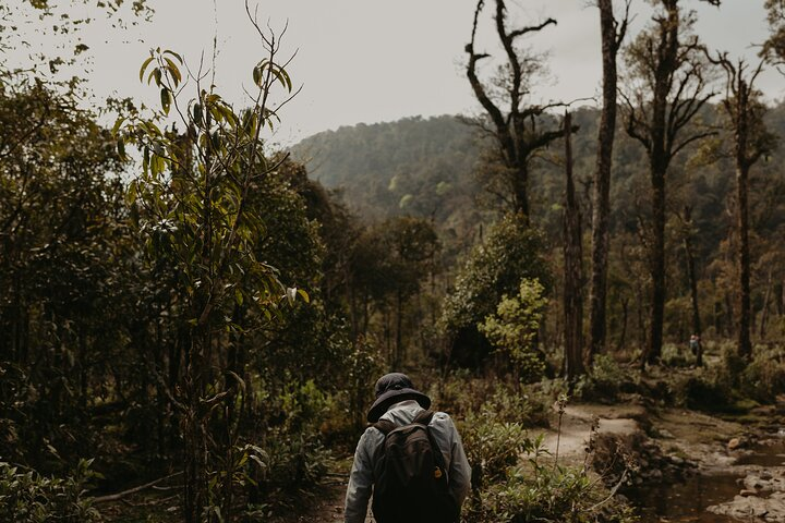 The North Run: 7 day Ha Giang - Hoang Su Phi - Sapa - Fansipan  - Photo 1 of 13