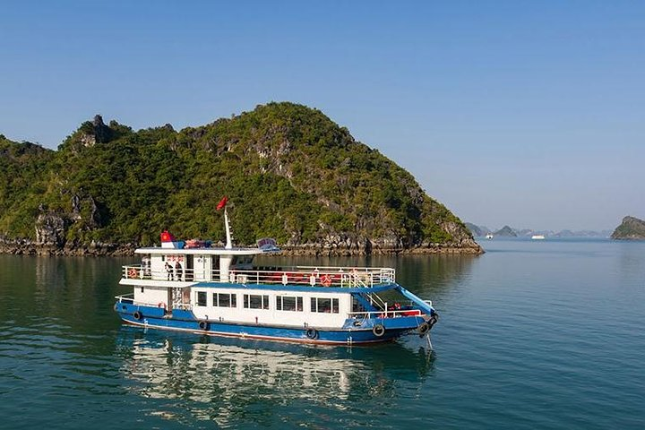 Estella Cruise