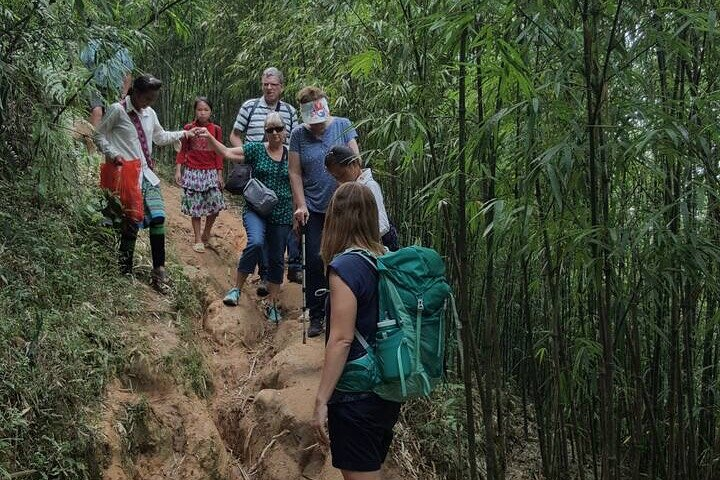 Unforgettable Trekking Experience 6 Hour in Sapa - Photo 1 of 5