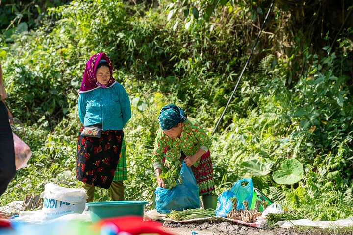 Vietnam mountain trail explorer 8 days 7 nights - Photo 1 of 19