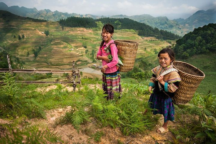Trek through lush landscapes meeting warm-hearted locals carrying baskets while exploring the rich culture of ethnic communities in the heart of Sapa. Experience the simplicity of rural life.