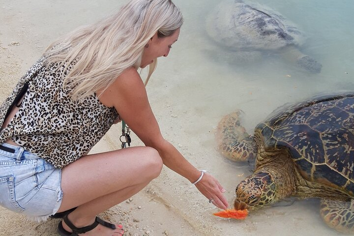 4 Hour: Private Tropical Trio Excursion (with Hotel Pickup) - Photo 1 of 13