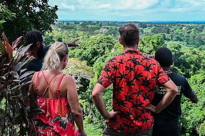 Get views along the trail