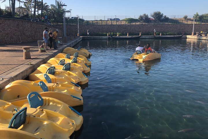 Pedal Boat Rides on Durban Point Waterfront Canals in Durban | Pelago