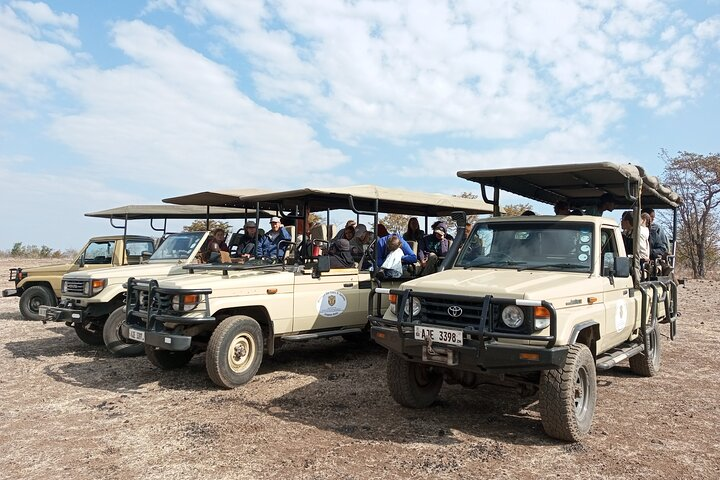 South Luangwa National Park Safari Game Drive - Photo 1 of 7