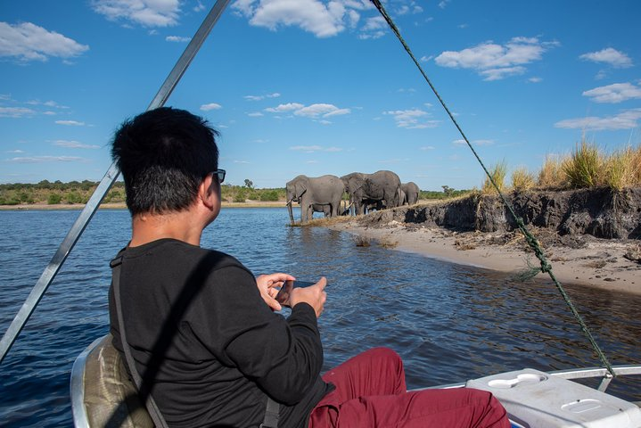 A Private Full Day Chobe Tour -Bostwana - Photo 1 of 8