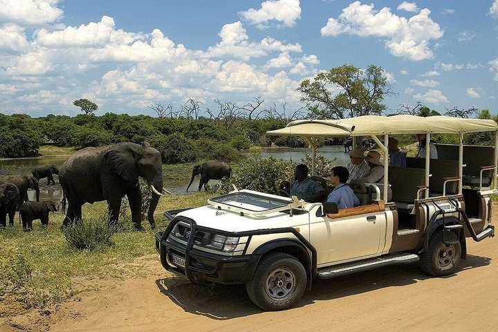 Full Day Chobe Boat Cruise & Game Drive Safari Experience - Photo 1 of 23