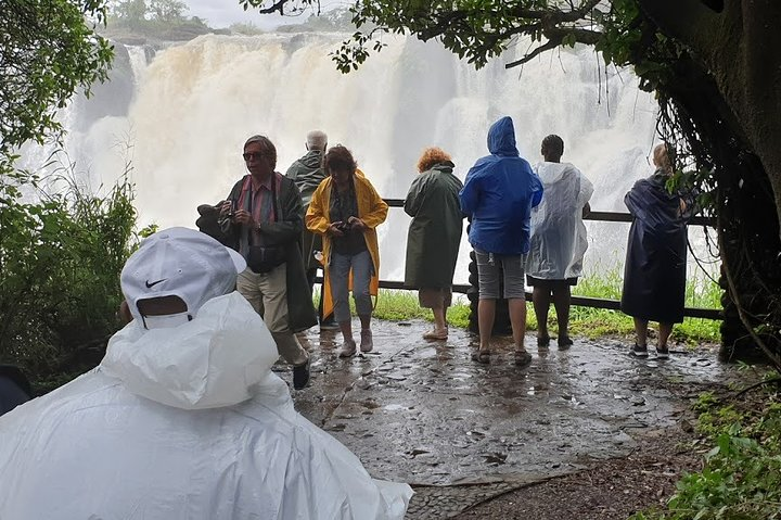 Victoria Falls Zambia & Zimbabwe Combined Guided Tour Experience - Photo 1 of 23