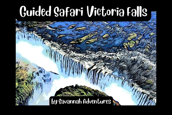 Guided Tour of the Falls (ZIM side) Wildlife Safari, by Savannah - Photo 1 of 21