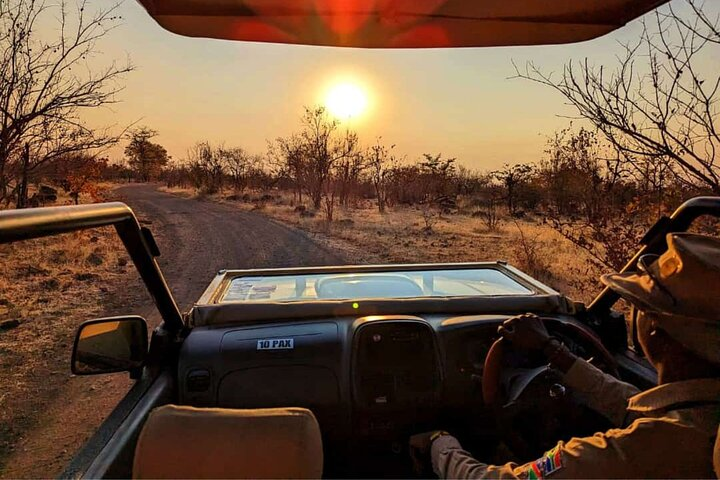 Safari Game drive