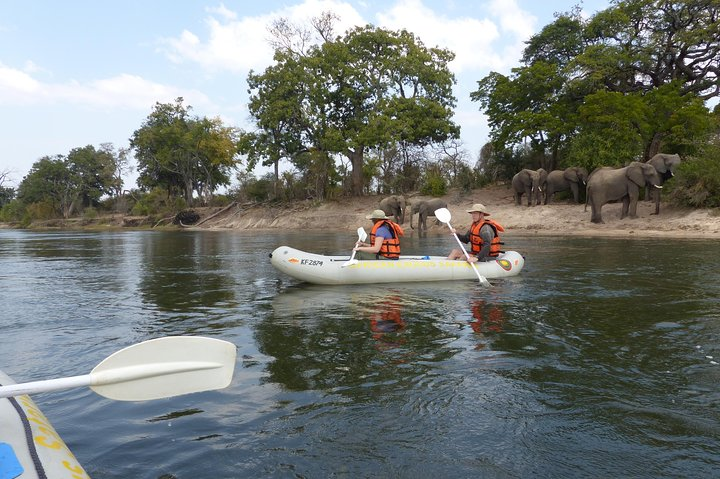 Canoeing with Wildlife Sightings  - Photo 1 of 8
