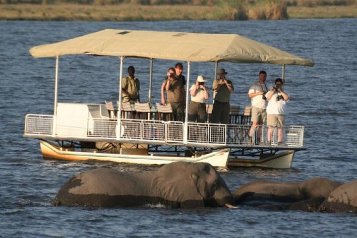 Chobe Full Day Experience - Photo 1 of 6
