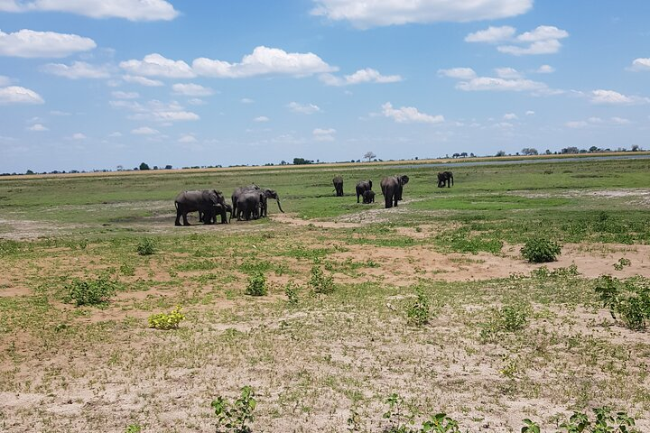 Chobe Full Day Safari in Chobe - Photo 1 of 21