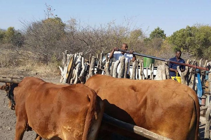 Cultural & Traditional Village Tour  - Photo 1 of 7