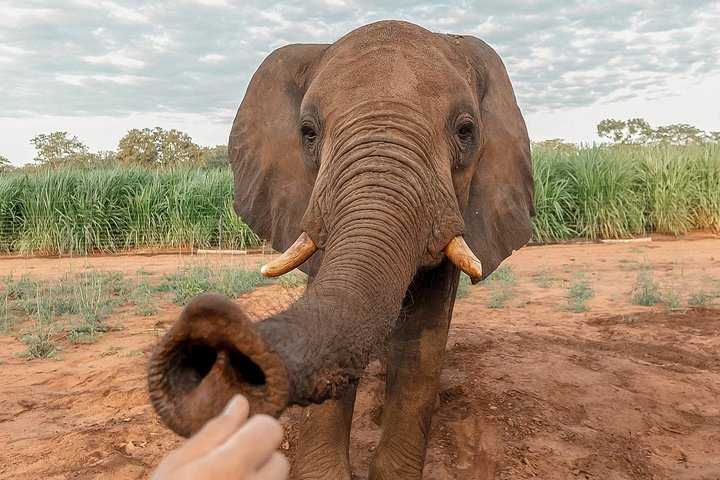 Moments with Elephants - Photo 1 of 7