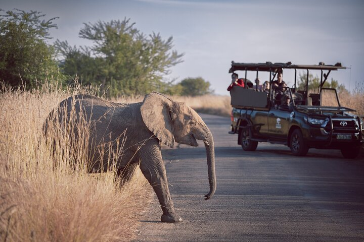 Game Drive in Zimbabwe - Photo 1 of 9