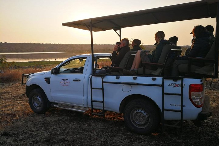 Game Drives - Photo 1 of 12