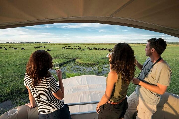 Chobe Day Trip From Victoria Falls Zimbabwe - Photo 1 of 9