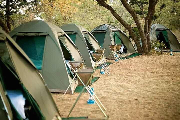 Matopo Curves and Paintings