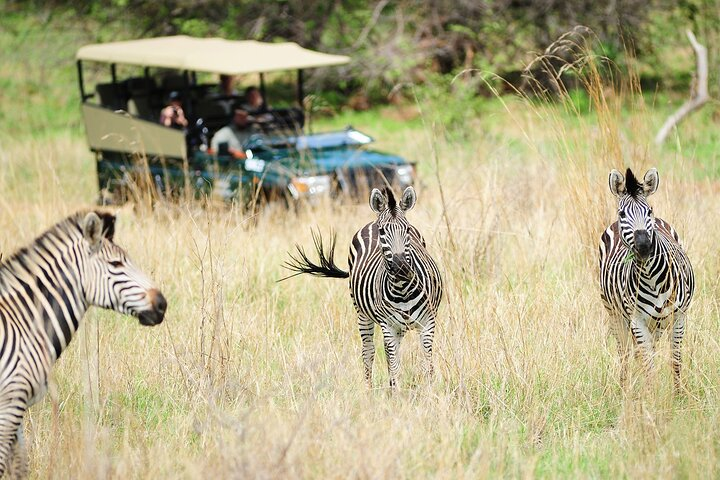 Hwange Day Trip - Photo 1 of 6