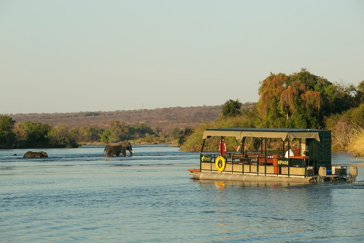 Seeing elephants from the jet boat