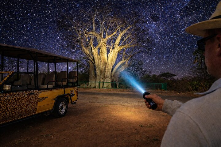 Night Experience in the Bush and Stargazing with Pick Up *F-D-ES - Photo 1 of 15