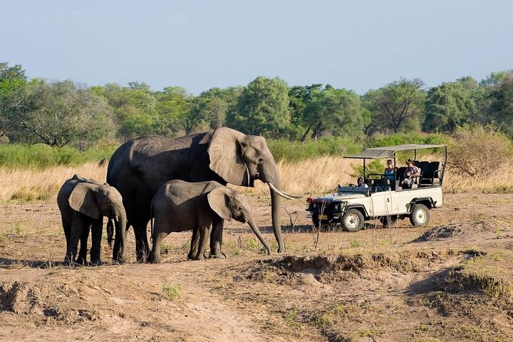Game Drive in the Zambezi National Park