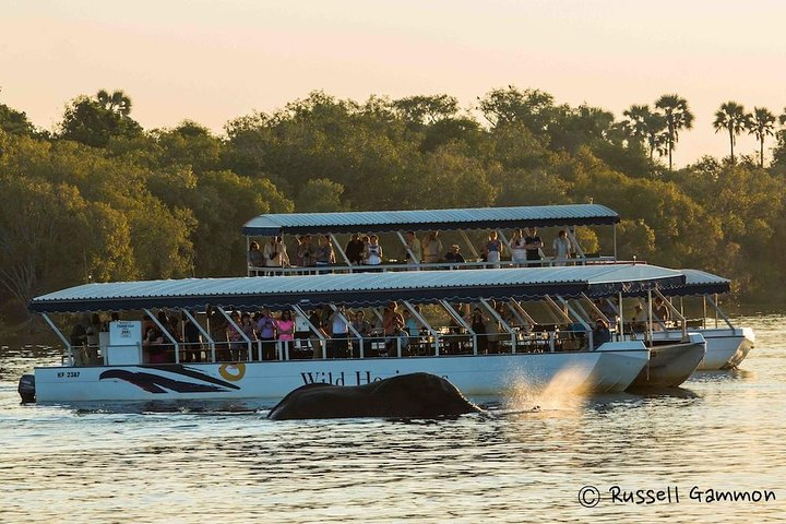 Sundowner Cruise on Zambezi River (Zimbabwe) - Photo 1 of 8