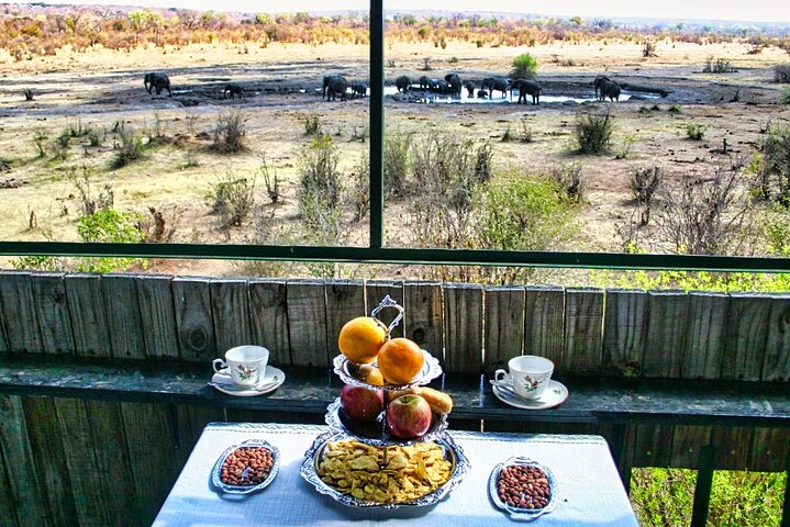 High tea in the savannah next to a waterhole...a truly unique experience